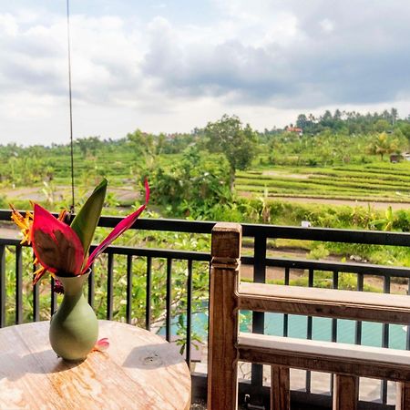 Alamgangga Villas Tirta Gangga 卡朗阿森 外观 照片