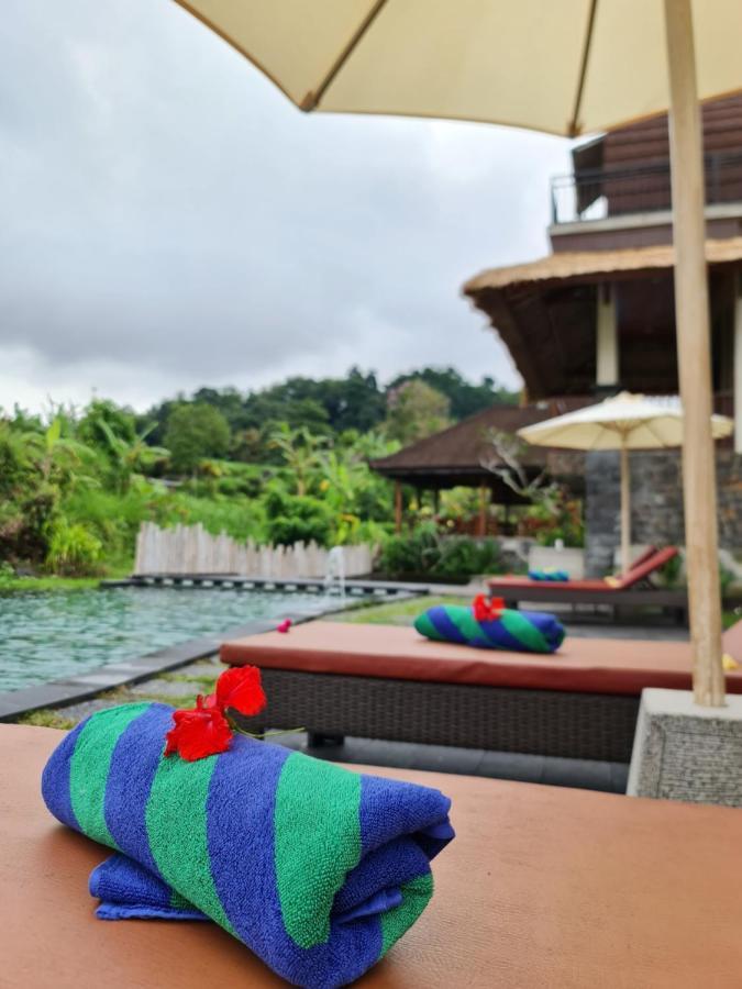 Alamgangga Villas Tirta Gangga 卡朗阿森 外观 照片