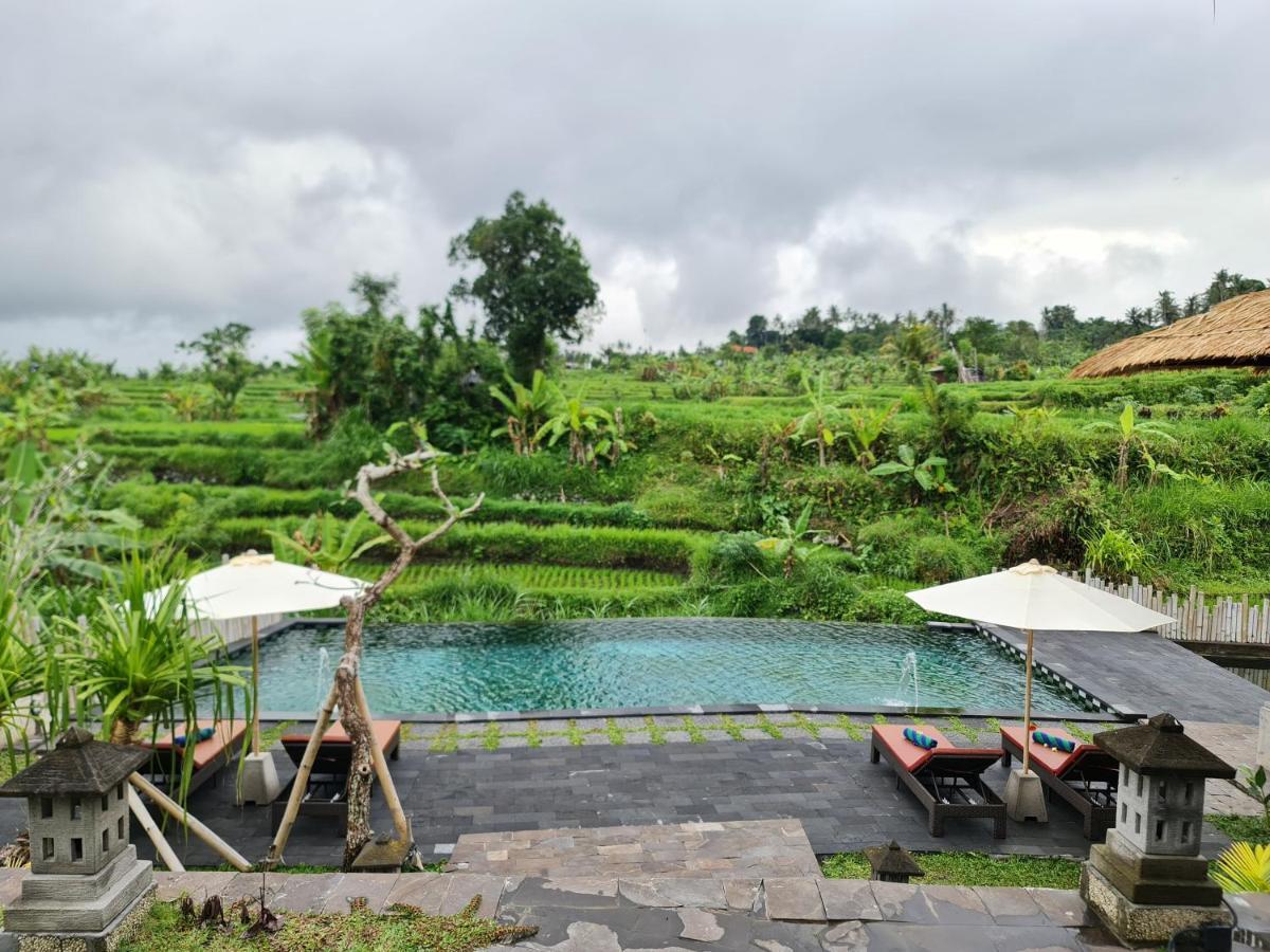 Alamgangga Villas Tirta Gangga 卡朗阿森 外观 照片