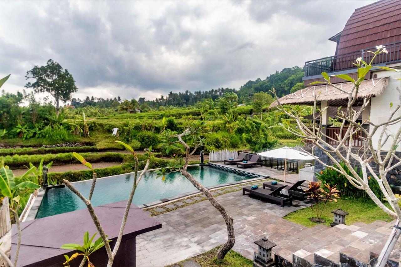 Alamgangga Villas Tirta Gangga 卡朗阿森 外观 照片
