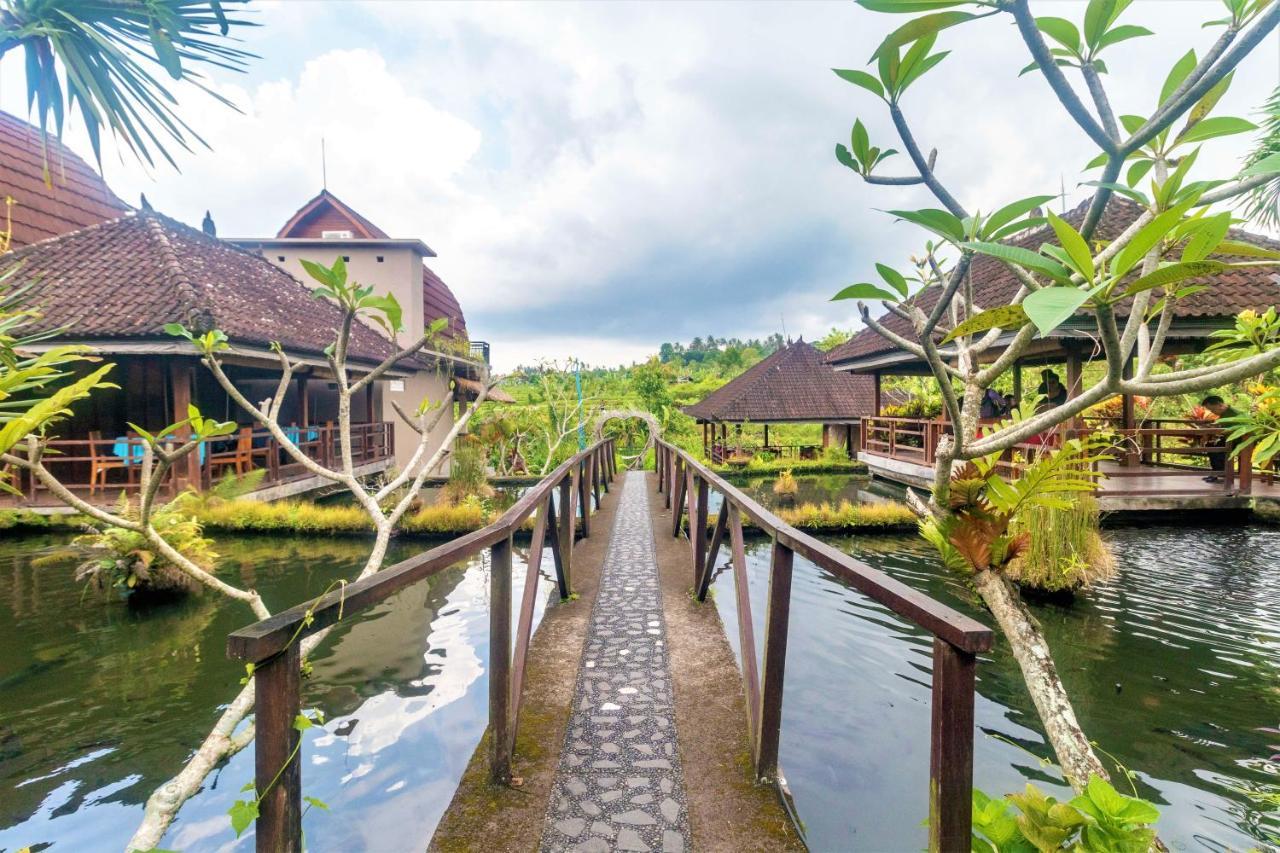 Alamgangga Villas Tirta Gangga 卡朗阿森 外观 照片