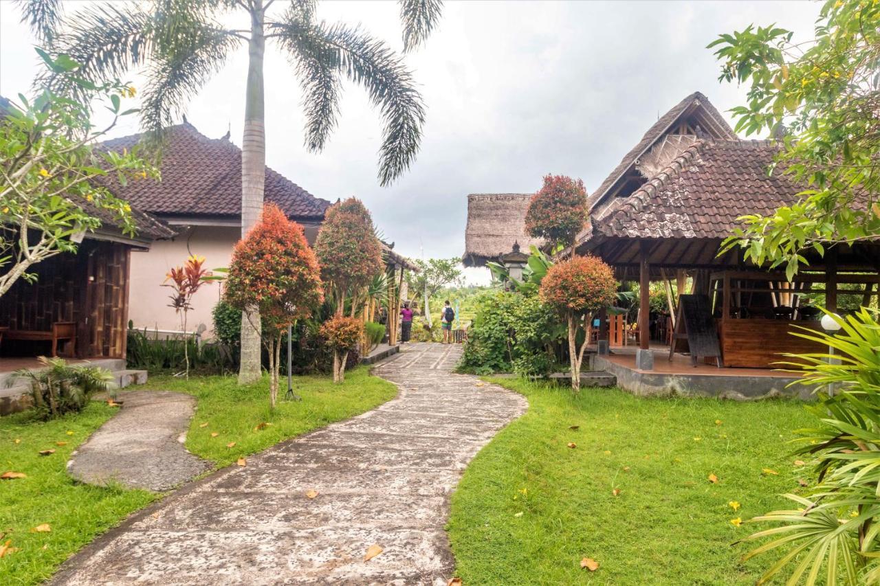 Alamgangga Villas Tirta Gangga 卡朗阿森 外观 照片